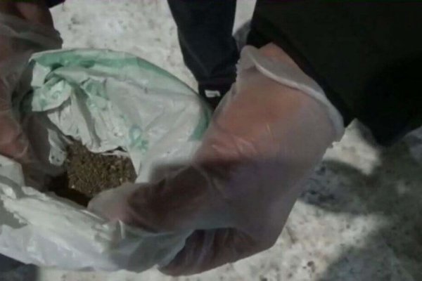 Официальная тор ссылка кракен сайта