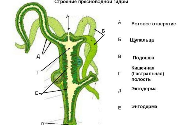 Как выйти на кракен