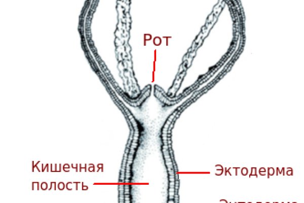 Кракен зеркало onion