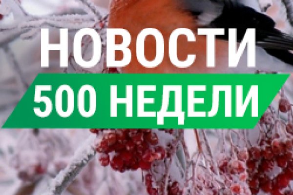 Полезные сайты тор