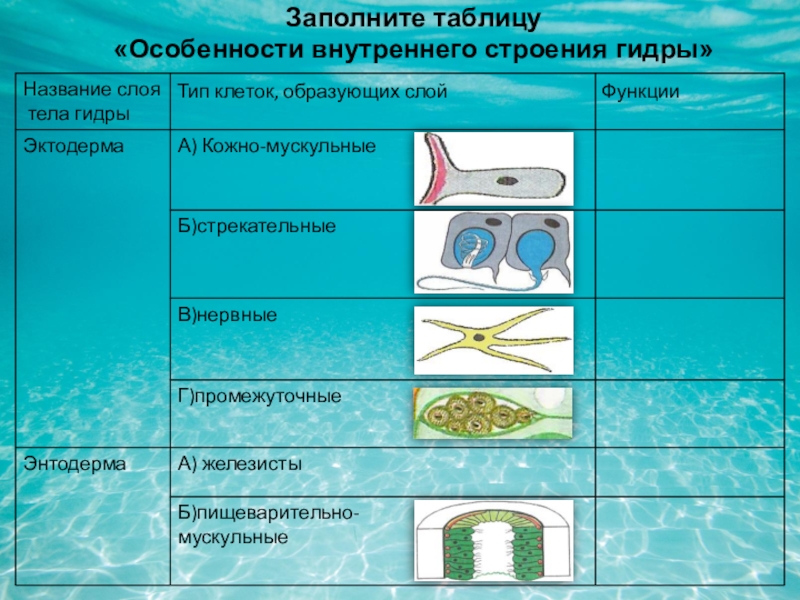 Ссылки на сайты даркнета